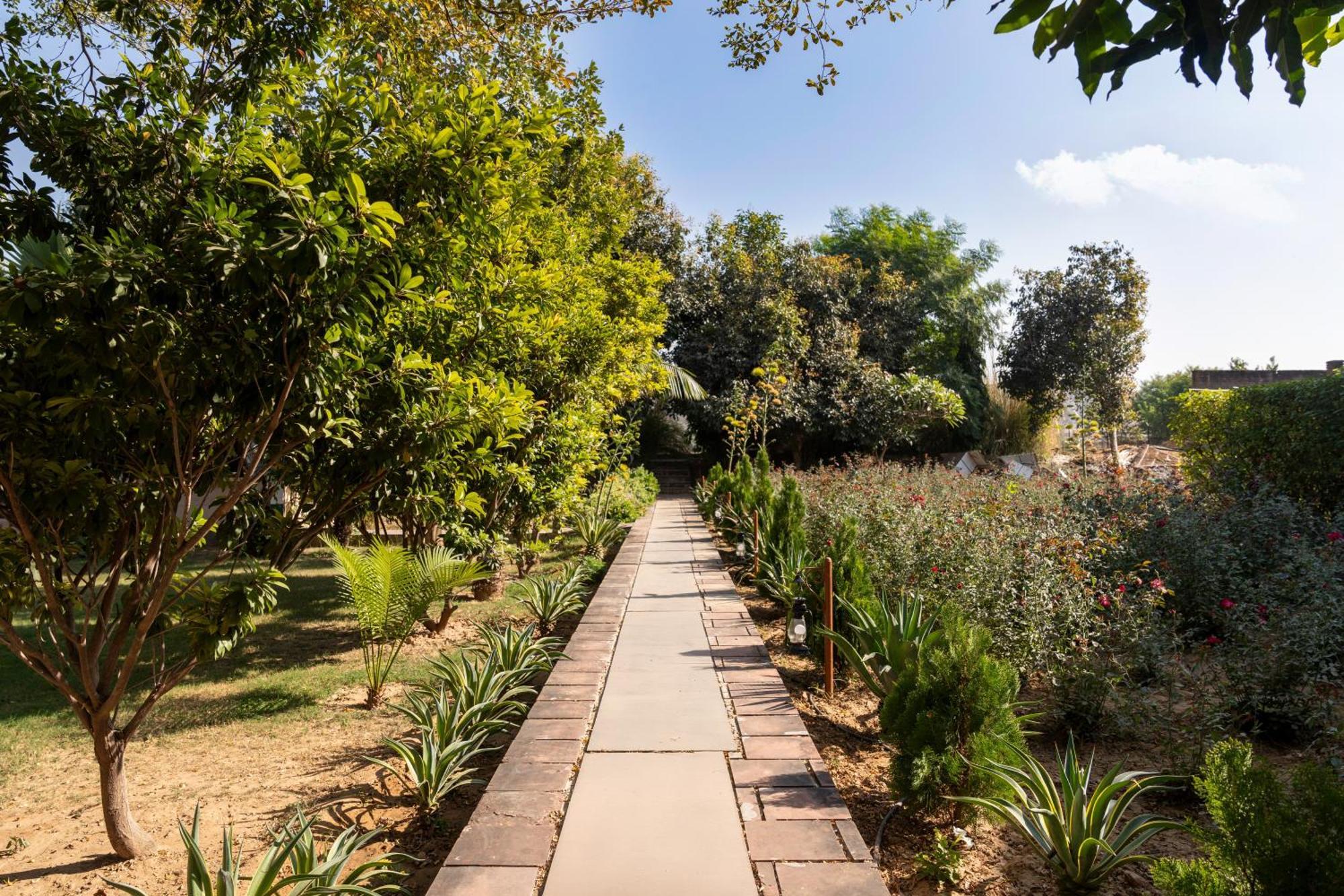 Abhyaran Resort & Spa Ranthambore Sawai Madhopur Exterior photo